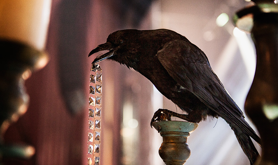 Photo by Nick Serpell Rand