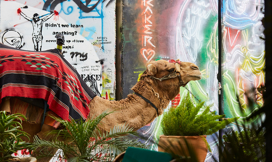 Photo by Martin Perry