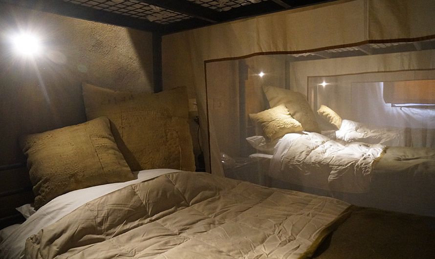 Photo by Paul Insect