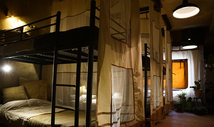 Photo by Paul Insect