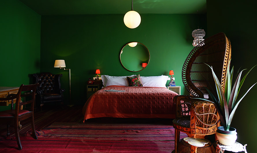 Photo by Paul Insect